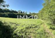 Erholung pur im eigenen Wald mit Bach und Wiesen nähe Amstetten