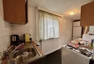 Haus - 4 Zimmer, 2 Badezimmer und 50m² Garten in 1230 Wien zu mieten