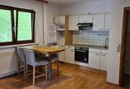 Bad Ischl: Wohnhaus, Zinshaus, Bauplatz, angrenzender Wald und landwirtschaftliche FlÃ€che in Aussichtslage!