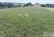 Landwirtschaftliche Flächen in der Nähe von Neuberg im Burgenland!