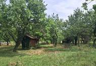 ,,Bauland und großer Obstgarten - Liegenschaft in Hornstein nahe Neufeldersee,,