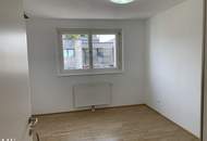 4 rooms, terrace, garage, near VIC - new renovated