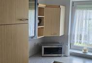 EINFAMILIENHAUS MIT GROSSEM GRUNDSTÜCK IN RUHIGER LAGE – DONAUTURM