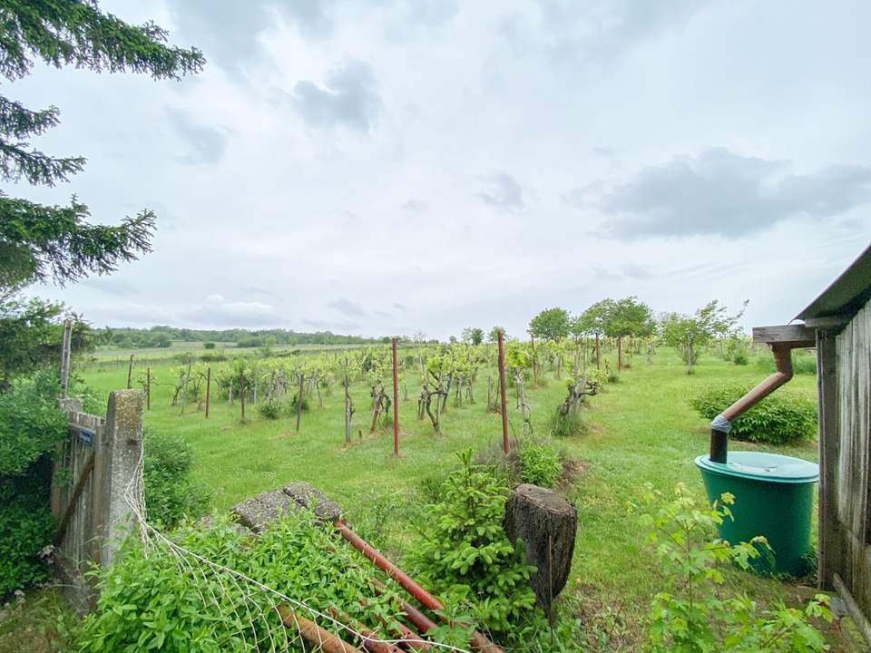 Romantisches Winzerhaus mit Wienblick und Weingarten