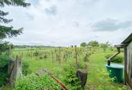 Romantisches Winzerhaus mit Wienblick und Weingarten