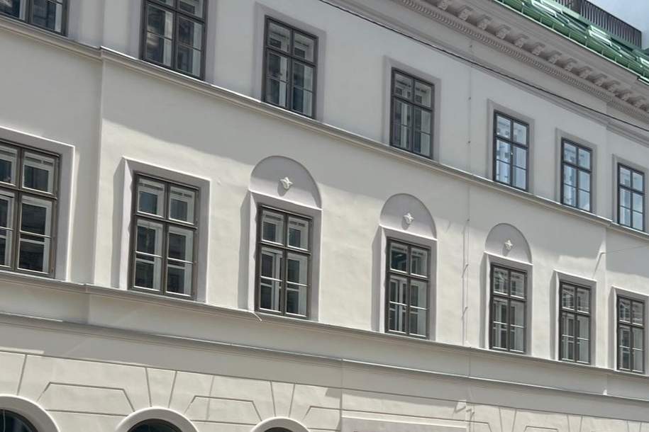 Biedermeier trifft Moderne - THE FUSION, Wohnung-kauf, 561.000,€, 1040 Wien 4., Wieden