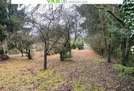 7050 m² gewidmete Baugrundstücke in Spattendorf – nahe Gallneukirchen