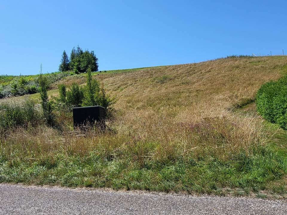 Baugrundstück in Hanglage ruhig gelegen - Infrastruktur vorhanden