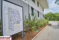 Moderne 3 Zimmerwohnung mit Balkon