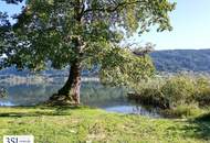 Unvergleichliche Seeidylle: Wohnung mit eigenem Badeplatz am Ossiacher See