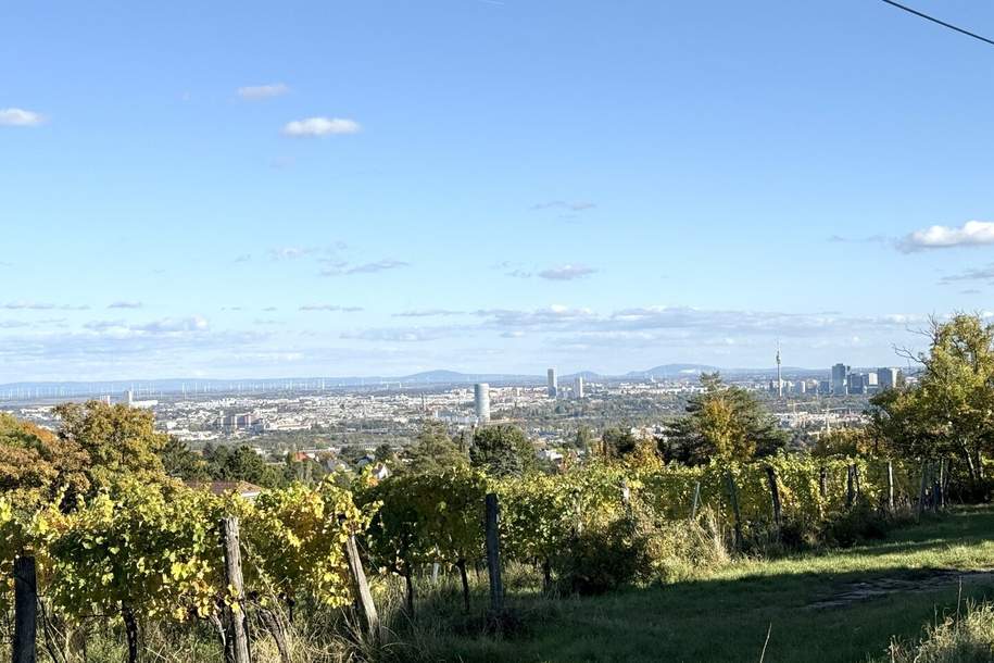 Grinzing: Eckgrundstück mit Zufahrt &amp; Wienblick – seltene Gelegenheit, Grund und Boden-kauf, 470.000,€, 1190 Wien 19., Döbling