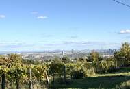 Grinzing: Eckgrundstück mit Zufahrt &amp; Wienblick – seltene Gelegenheit