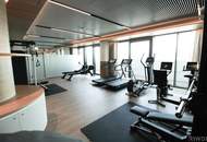 DANUBE PENTHOUSE mit XXL Freifläche Richtung Innenstadt ** 4 Zimmer & 3 Bäder