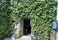 Landhaus mit Grünblick!