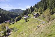 Kleinlandwirtschaft mit Wohnhaus und Wirtschaftsgebäude in Unterpreitenegg im Oberen Lavanttal