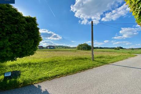 Traumhaftes Grundstück BW mit 1.961 m² in idyllischer Lage in Dietmanns bei Groß Siegharts, Grund und Boden-kauf, 39.000,€, 3813 Waidhofen an der Thaya