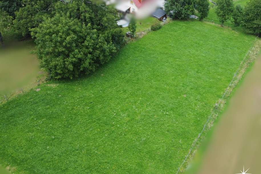 Großzügige Grundstücke für Land- und Forstwirtschaft. Baldramsdorf. Spittal an der Drau. Wald und Wiese., Grund und Boden-kauf, 39.500,€, 9805 Spittal an der Drau