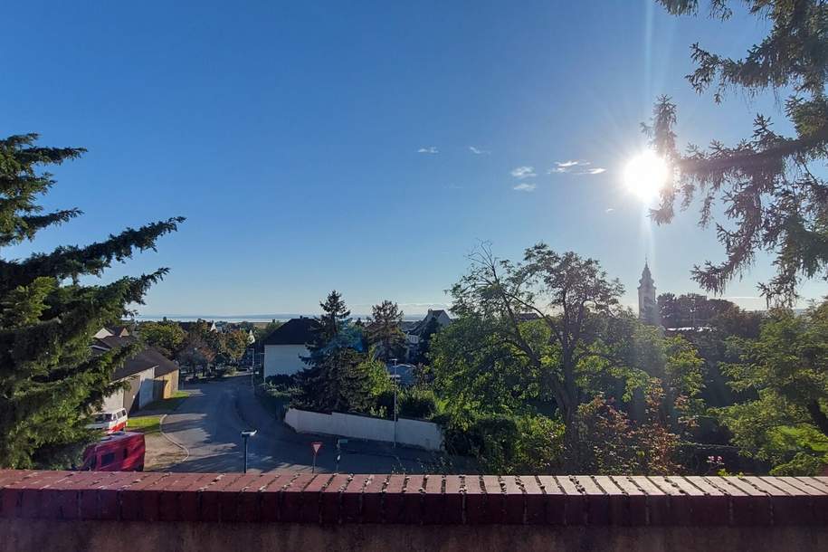Beste Lage Neusiedl am See: 3 Terrassen, 10 Zimmer, 230m² Wohnfläche, Garten &amp; Seeblick, Haus-kauf, 549.000,€, 7100 Neusiedl am See