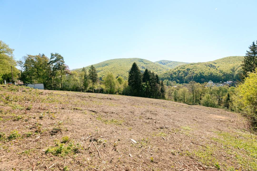 Baugrund mit Perspektive in sonniger Südhanglage – exklusives Grundstücksensemble