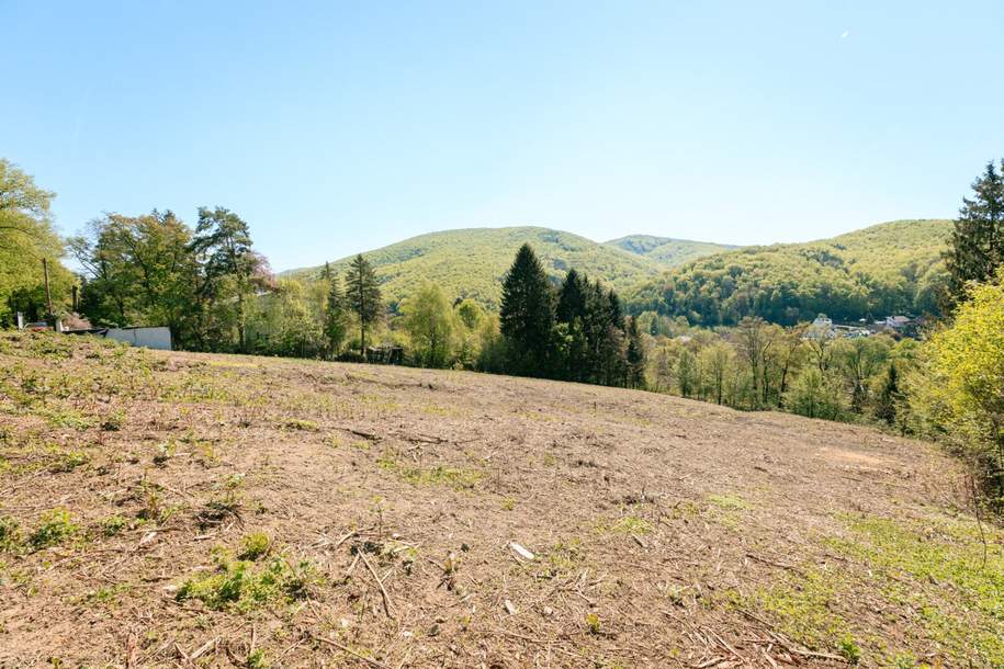 Baugrund mit Perspektive in sonniger Südhanglage – exklusives Grundstücksensemble, Grund und Boden-kauf, 485.000,€, 3002 Sankt Pölten(Land)