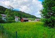 Sonniges Baugrundstück im Naturpark Gurktal, in Weitensfeld