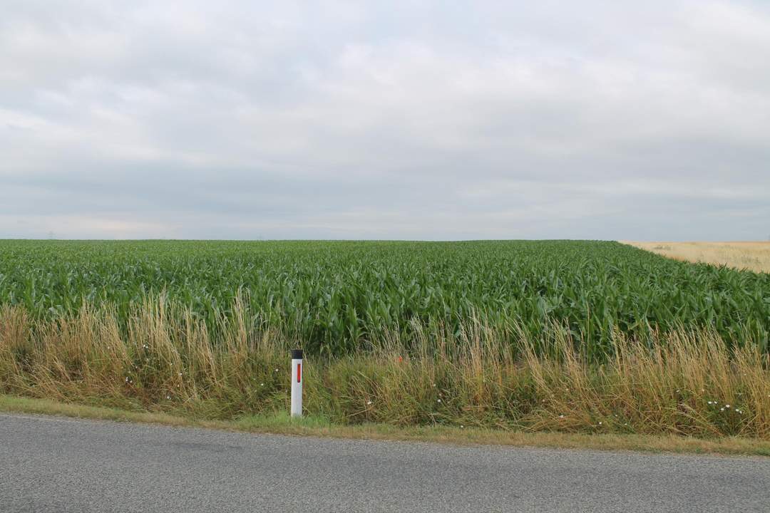 "Landwirte aufgepasst!"