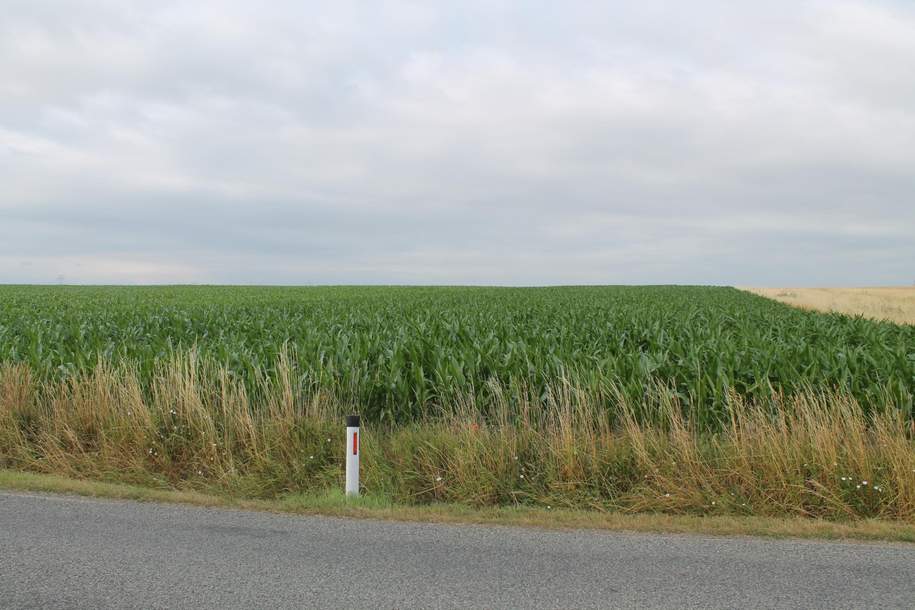 "Landwirte aufgepasst!", Gewerbeobjekt-kauf, 2011 Korneuburg