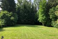 Ideal zum Wohnen & Arbeiten | Büro | Ordination Bestandsfrei