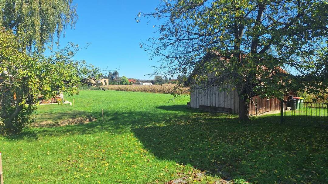 "Sonnige Bauplätze an der Südsteirischen Weinstraße – Wo das Leben schmeckt"