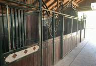 Exklusiver Pferdehof mit 2 Wohneinheiten, Reithalle &amp; großem Grund in Hochneukirchen