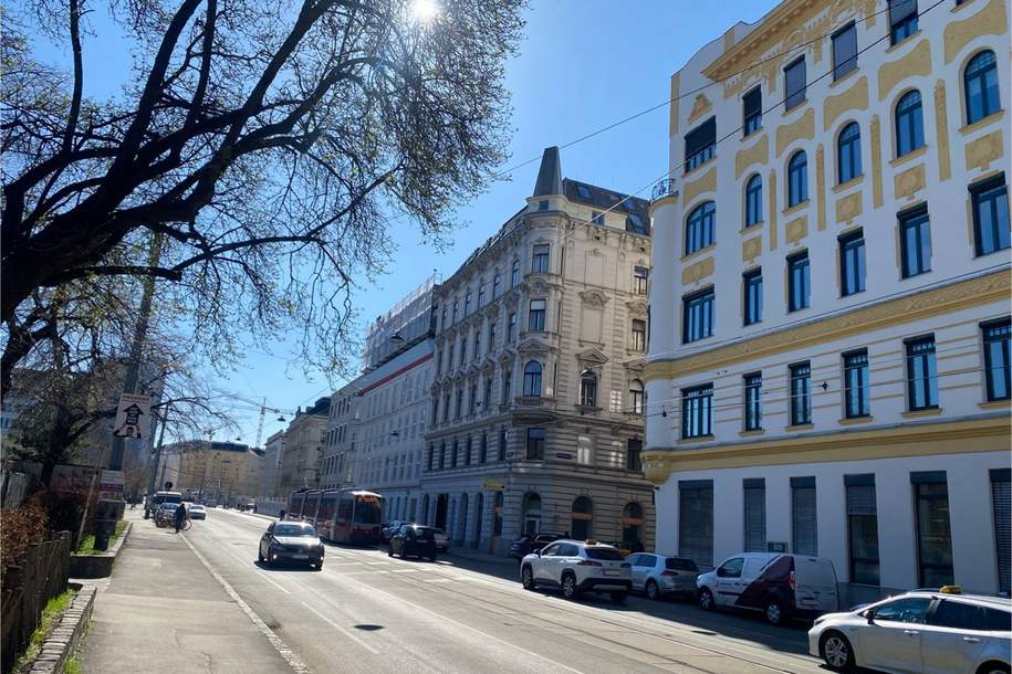 Investment - Chance - Anlage ALTBAU 4 Zimmer Wohnung + separater Küche - Nähe AKH ALSERGRUND, Wohnung-kauf, 519.000,€, 1090 Wien 9., Alsergrund