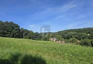 ROMANTISCHER GRUND MIT GRÜNLANDWIDMUNG