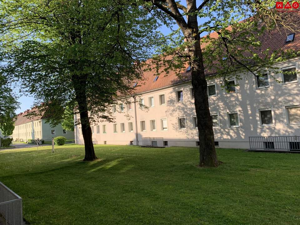 Moderner Rückzugsort für Familien & Naturfans: helle Wohnküche, 3 Schlafzimmer und ein hochwertiges Bad vereinen Komfort, Stil und urbanes Lebensgefühl auf kompaktem Raum!