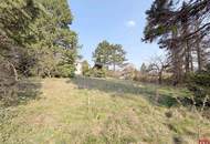 Großes Grundstück (Doppelparzelle) am Ölberg