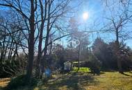 Bauträger oder Privatperson: Traumhaftes Grundstück mit Altbaumbestand in ruhiger Lage - teilbar