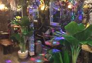 "Die African Queen auf der Donau deine Chance auf Kult Gastro mit Traumlage"