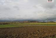 4- Zimmer Dachgeschosswohnung mit traumhafter Dachterrasse/Lift/PKW-Abstellplatz und exklusivem Schwimmbiotop