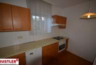 MURPARK DIREKT VOR DER TÜR | INKLUSIVE PARKPLATZ | 1-ZIMMERWOHNUNG