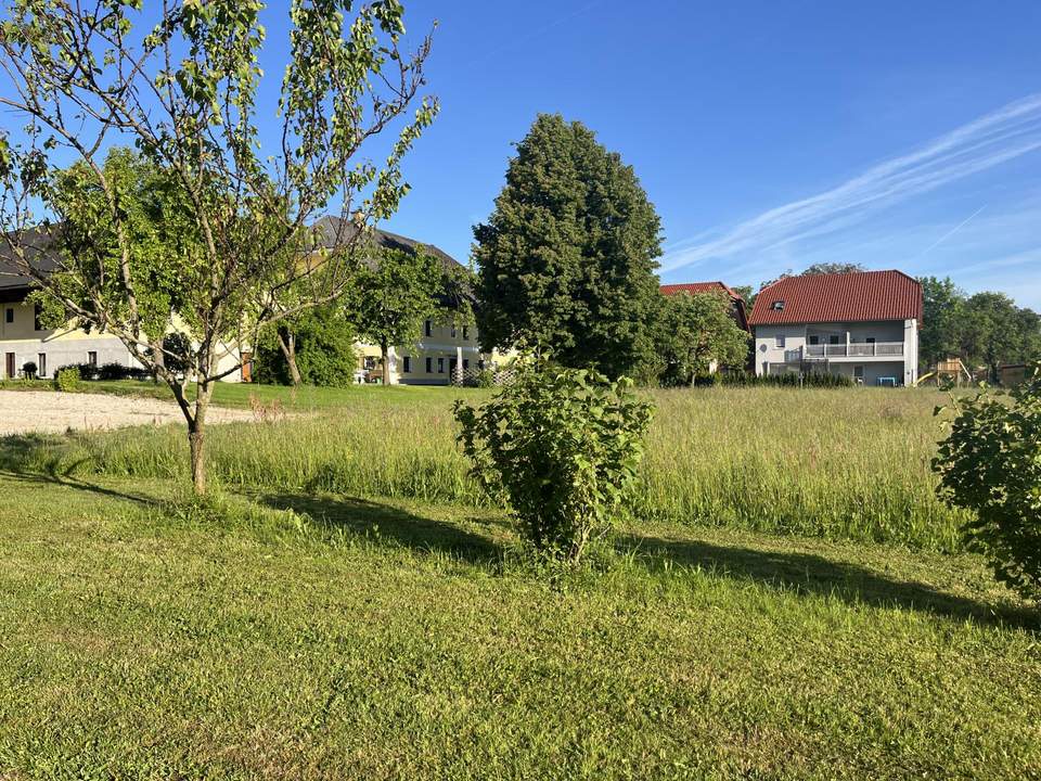 Wohnen im Grünen - Baugrundstück in idyllischer Lage