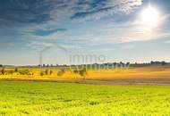 Mega Grundstück - kein Bauzwang - Ideal als Anlage