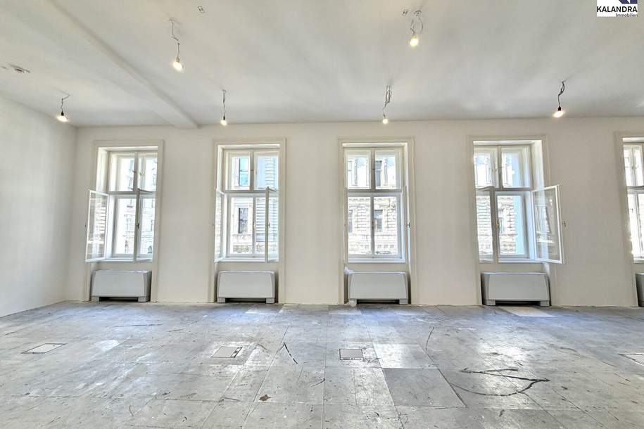 REPRÄSENTAIVES BÜRO NAHE RATHAUSPLATZ, Gewerbeobjekt-miete, 12.075,75,€, 1010 Wien 1., Innere Stadt