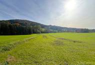 Rückzugsort in Alleinlage