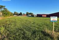 Optimale Standortwahl