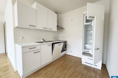 Heller Wohnungstraum zum Mieten!, Wohnung-miete, 595,00,€, 8020 Graz(Stadt)