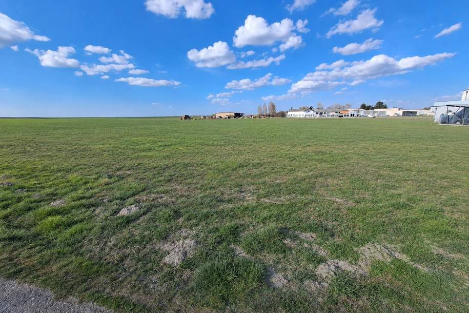 BAUGRÜNDE - Zwischen 580 m² und 716 m², Grund und Boden-kauf, 149.000,€, 2452 Bruck an der Leitha