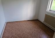 Sanierungsbedürftiges Zweifamilienhaus mit Nebengebäuden in Traumlage