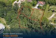 Zwei Baugrundstücke mit angrenzender Waldfläche in Hartberg - Am Brühlbach