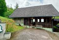 Feistritz im Rosental - idyllisches Häuschen für Singles oder Paare mit Nebengebäuden
