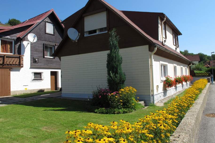 Bauland-Grundstück in bester Lage mit Altbestand und Kellerstöckl, Haus-kauf, 249.000,€, 8650 Bruck-Mürzzuschlag