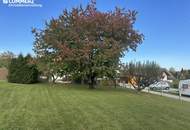 Traumhaftes Mehrfamilienhaus